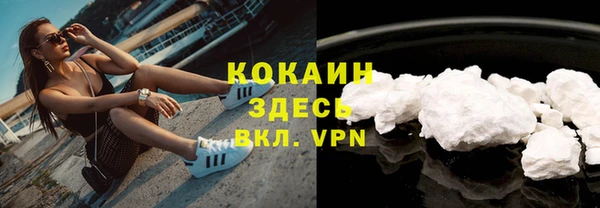 PSILOCYBIN Балабаново