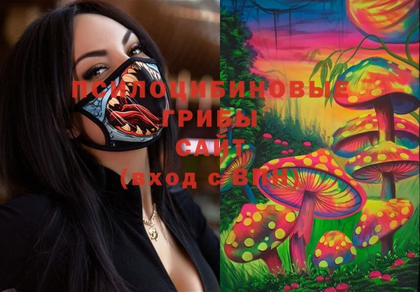 мяу мяу мука Белоозёрский