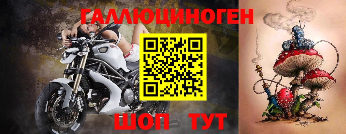 Псилоцибиновые грибы Psilocybe  Псилоцибиновые грибы GOLDEN TEACHER  Бутурлиновка 